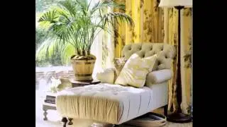 Цветы для интерьера - Flowers for an interior