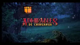 No Se Va - Admirables De Chihuahua (Lyric Video) • Imperio Records VIP 2023 👑🍀