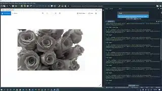 Python images: color negatives, converting color to sepia