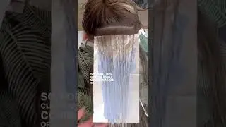 Fromm Palms Foils available at SalonCentric 🌴✨ @taylordidmyhair #frommpro #shorts #hairstylist