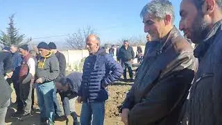 10 Şubat 2024