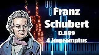 - Franz Schubert - 