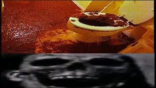 это был твой последний поход в туалет...