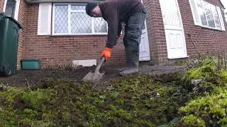Winter Garden Clean up