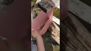 Никополь. Щука на 15 кг,