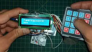 I Made a Password Check Using Arduino