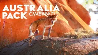 All Animals First Look - Planet Zoo Australia Pack Cinematic Overview