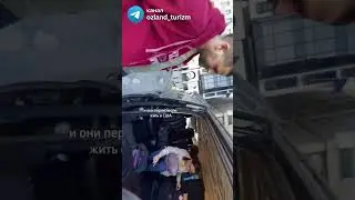 САМЫЙ ДОРОГОЙ ТРАНСФЕР 🐱 Вся информация в ТГ канале по ссылке в шапке профиля