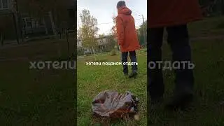 нашли кегу из мема про собаку и кегу