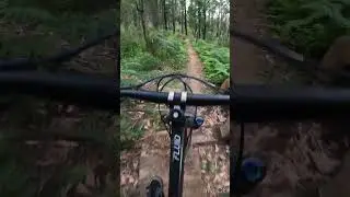 When conditions are mint and you have the trails to yourself 