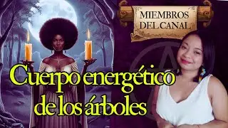 El cuerpo energético de los árboles
