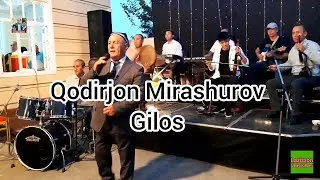 Гилос Кодиржон Мирашуров жонли ижро Gilos Qodirjon Mirashurov jonli ijro