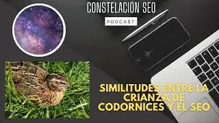 Similitudes entre la crianza de codornices y el SEO