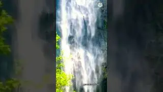 Amazing mesmerising Nature shorts | Amazing nature shorts | mesmerising nature shorts