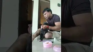 Beauty 🤪🐕‍🦺 #trending #viral #fun