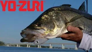 Inshore Fishing using the TopKnock Pencil!