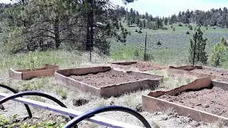 Easy garden beds