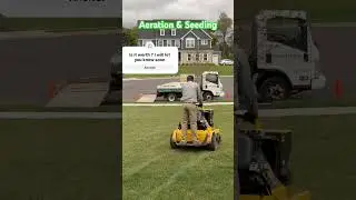 Aeration & Seeding