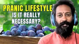 What is Pranic Lifestyle? How relevant it is in current times | Nishant Anna insight #pranavakshetra