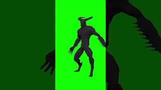 green screen video #greenscreen