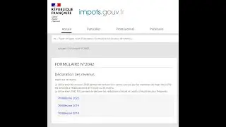 Adultitude - Impôts : ma première déclaration de revenus