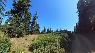 Türkiye Düzce Sakarca Plateau Wolking Trip 360 Video