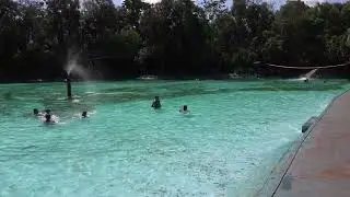 PARQUE AQUÁITICO LAGO AZUL