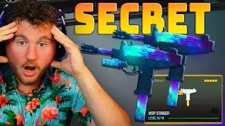 Using NEW BEST loadout in Warzone...