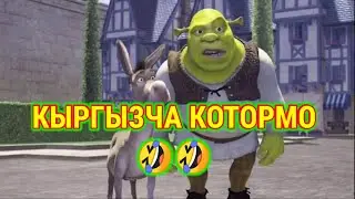 КЫРГЫЗЧА КОТОРМО 😂 🔞🤣 / СТРЕСС!?🤓