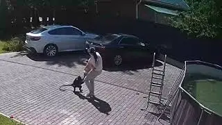В Подмосковье обезьяна напала на 2-летнюю девочку
