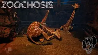 A Perfectly Normal Zoo... | Zoochosis Pt1