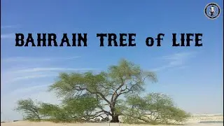 Tree Of Life - Bahrain