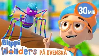 Blippi lär sig om spindelnät! - Blippi Wonders | Låtar och videor för barn | Moonbug Kids Svenska