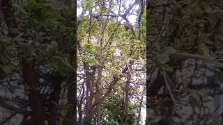 Старый город цветет!