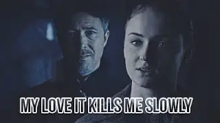 got | petyr x sansa - my love it kills me slowly