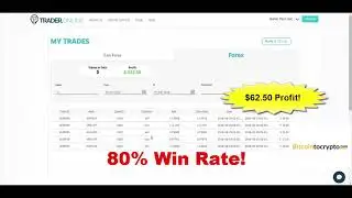 The Calloway Software Full Review!