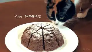 5 способов сделать вкусняшку в микроволновке