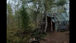 Тундра! Грибы так и прут.. жарим грибы на костре! Будни в избушке! рыбалка не удалась! клубника!