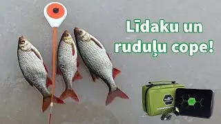 Ruduļi zāļu biezoknī! Ķeram līdakas un nakšņojam pie dīķa 2. daļa! Vai līdakas ķerās nakts melnumā?