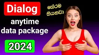 dialog anytime data package 2024 /