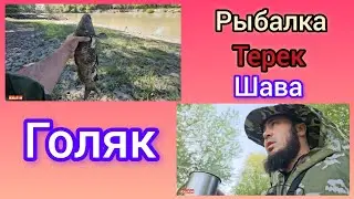 Рыбалка Терек Шава полный голяк.