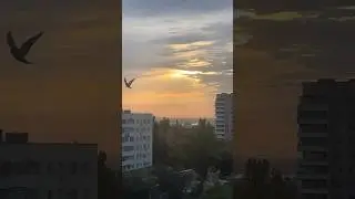 ❤️💋🌇