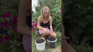 Хорошо в деревне летом…