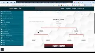 HOW TO PIF YOUR TEAM MEMBERS AND HOW THE MATRIX FILLS THE BOARDS1