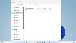 Windows 탐색기 설정; 파일확장자 보이기(해킹 방지 효과); 숨겨진 폴더 보이기; 홈폴더 즐겨찾기;