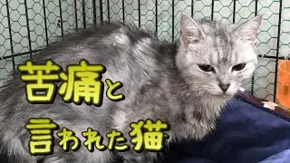 ペットショップで買った息子へのプレゼント（その後）：７２８