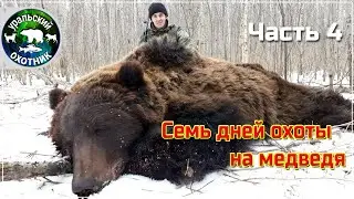 Семь дней охоты на медведя. Выстрел на 5 шагов (Часть 4).
