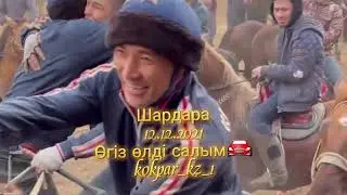 🇰🇿 12. 12.2021ж Шардарада өткен көкпардың өгіз өлді салымы.