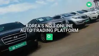 How to buy a car from Korea? Try Autowini! #korea #usedcars #cars #autowinikorea