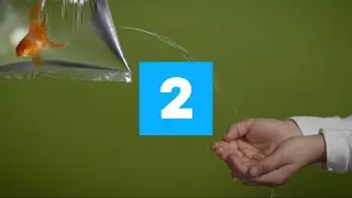 DR2 idents (2020)